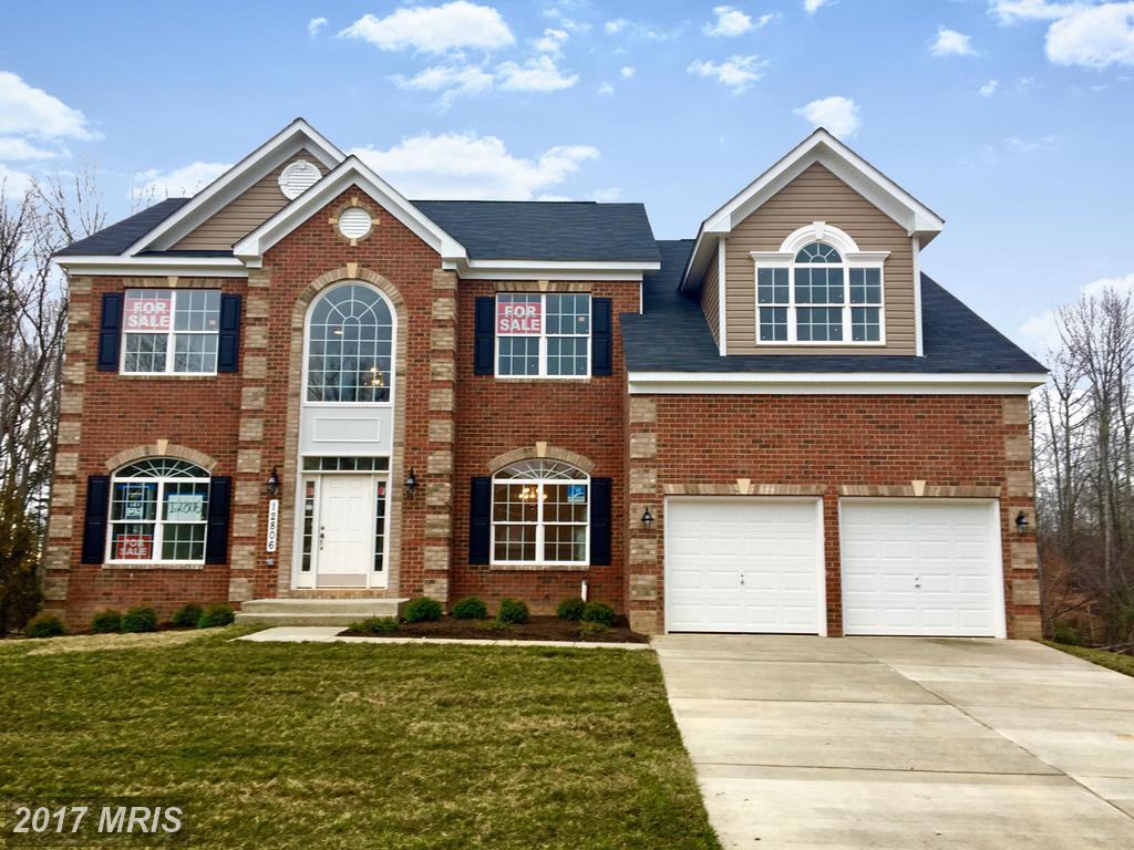 12806 Steam Mill Farm Drive - Photo 1