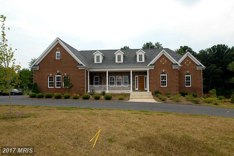 12876 Classic Springs Drive - Photo 1