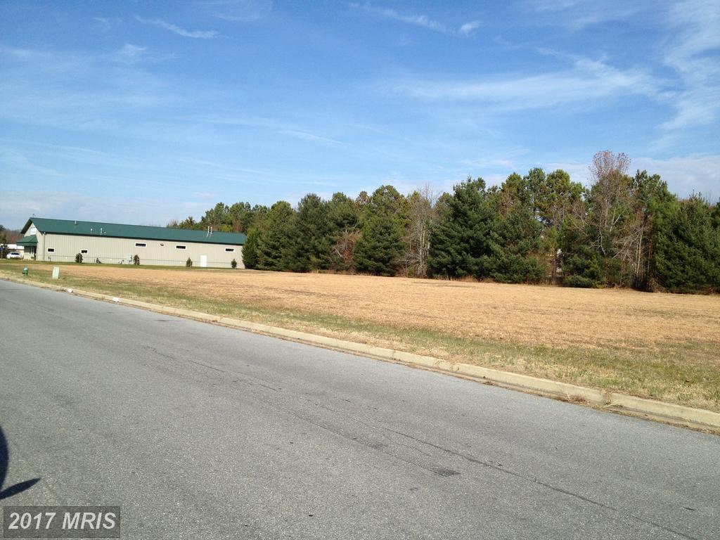 Canvasback Drive - Photo 1