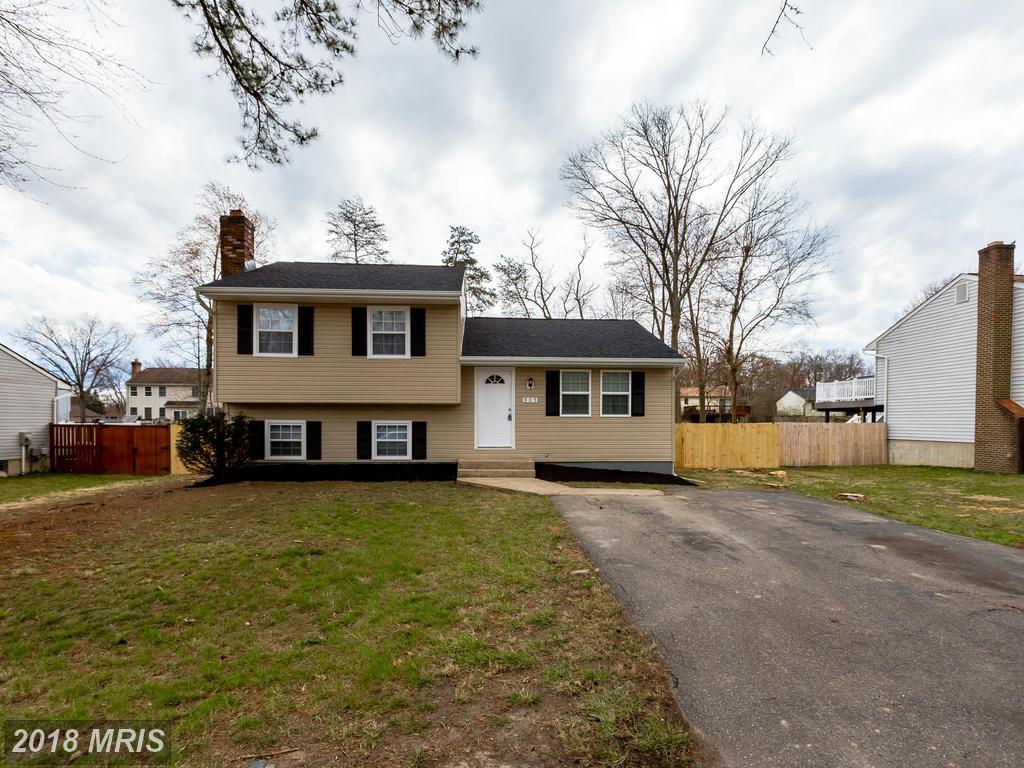905 Beech Tree Road - Photo 1