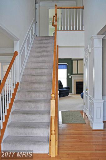 12 Donovan Court - Photo 1