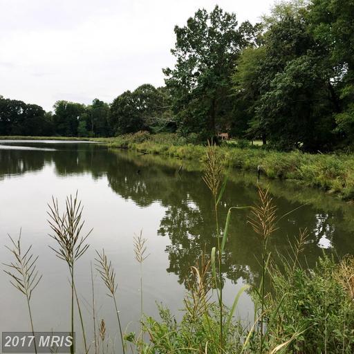 PARC 61 Crandell Road - Photo 1