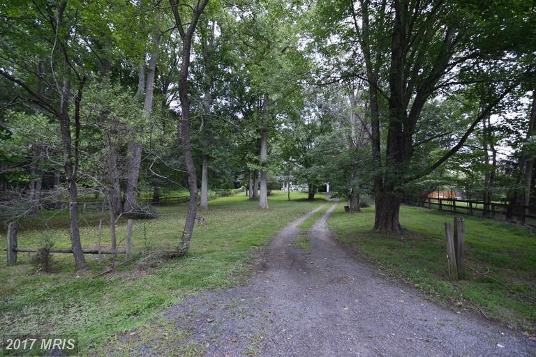 215 Deepwoods Drive - Photo 1