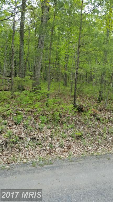 0 Timberline Ridge Road - Photo 1