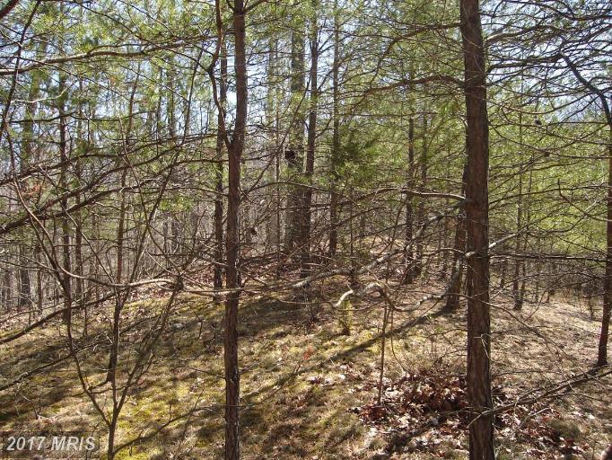Boy Scout Road - Photo 1