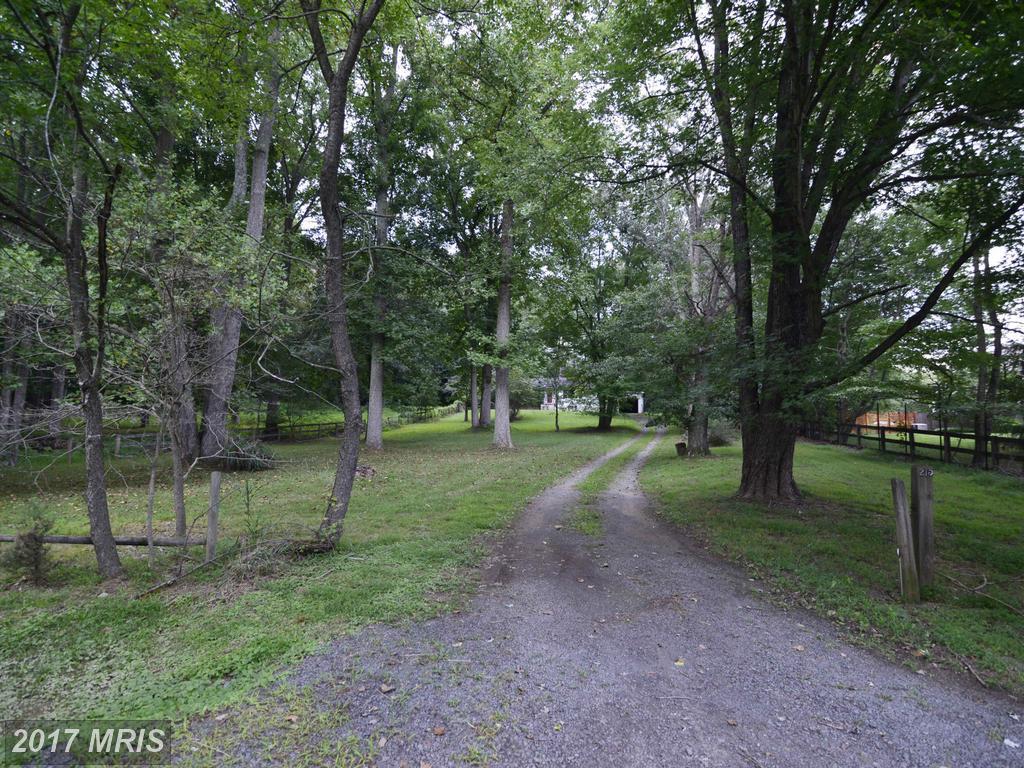 215 Deepwoods Drive - Photo 1