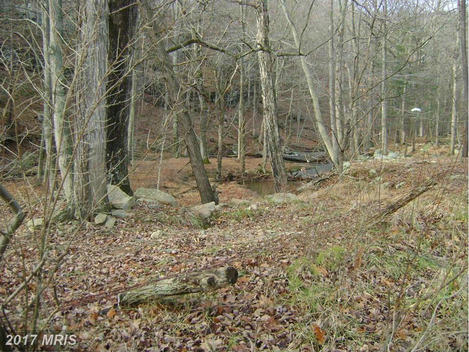 Rt 127 - Photo 1