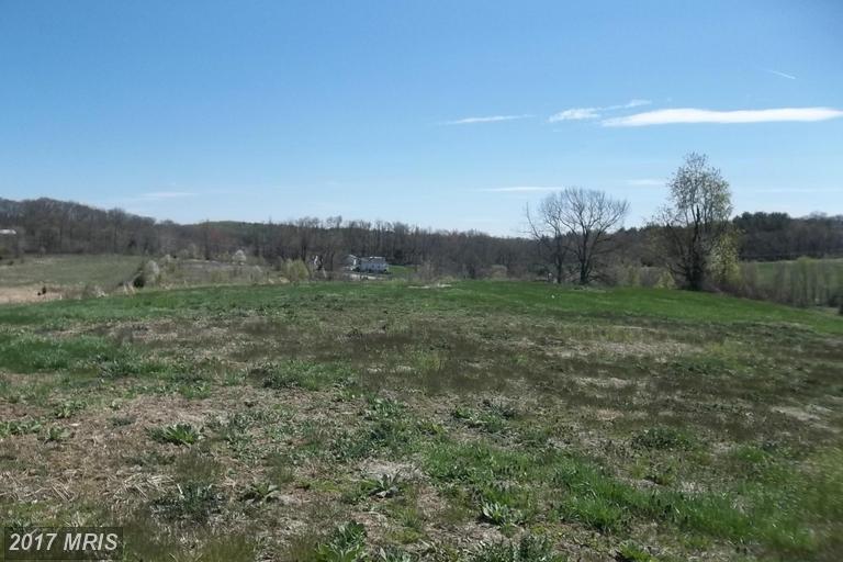 3555 Cattail Creek Drive - Photo 1