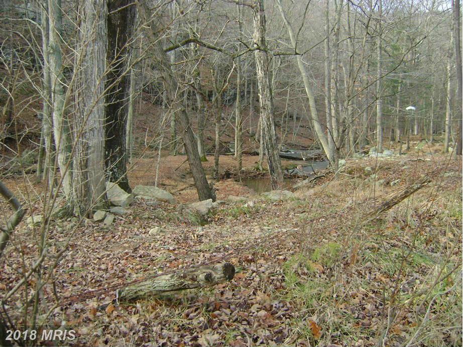 Rt 127 - Photo 1