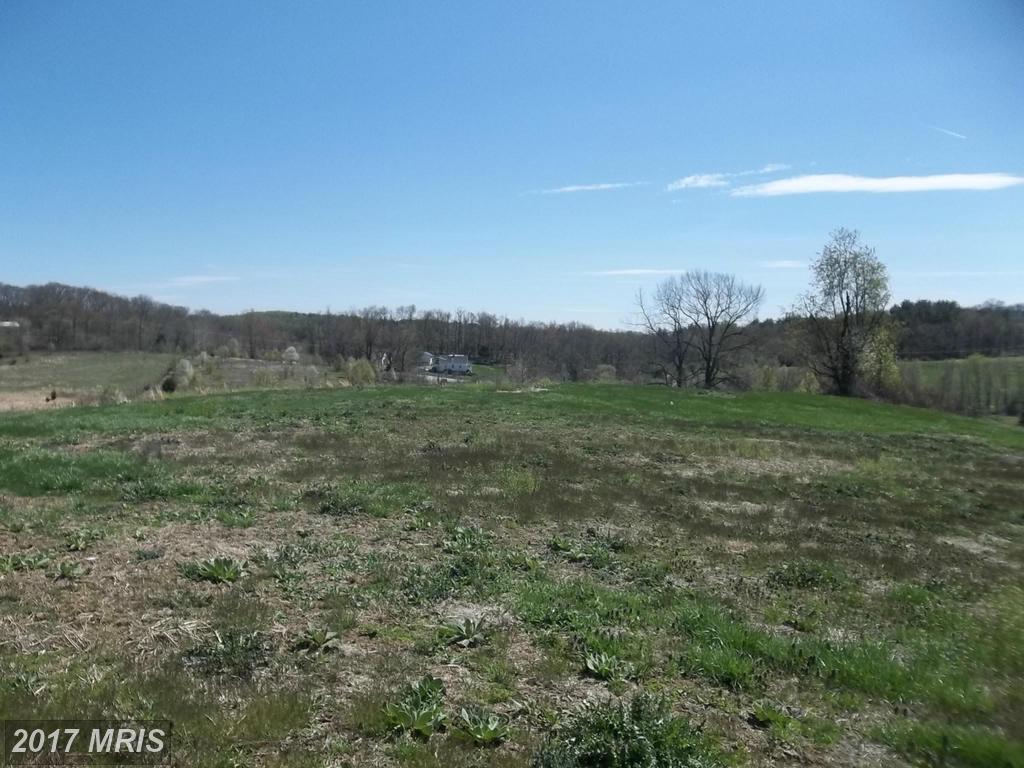 3555 Cattail Creek Drive - Photo 1