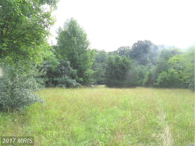 0 Peach Orchard Lane - Photo 1