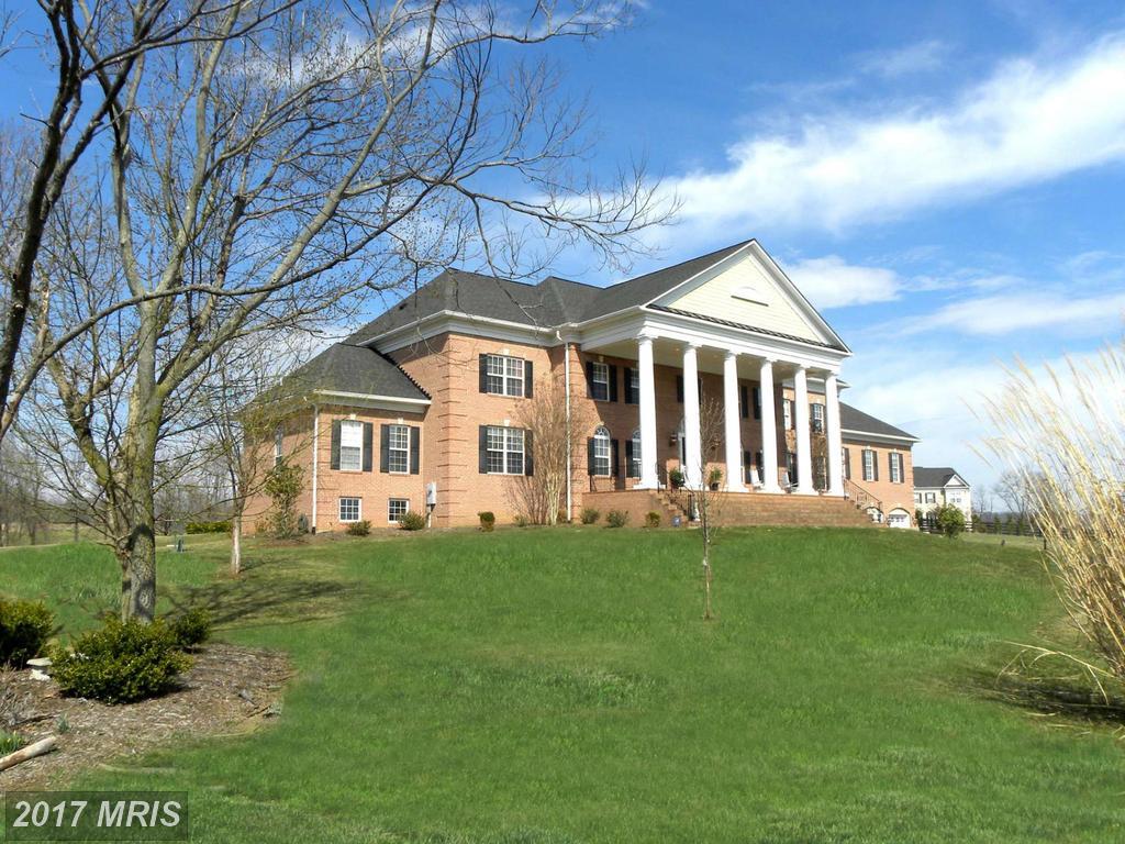 11502 Mica Place - Photo 1