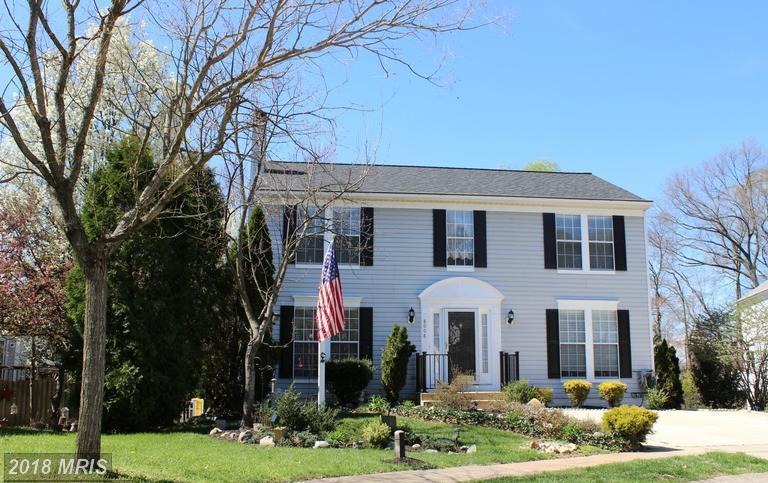 8008 Silver Fox Drive - Photo 1