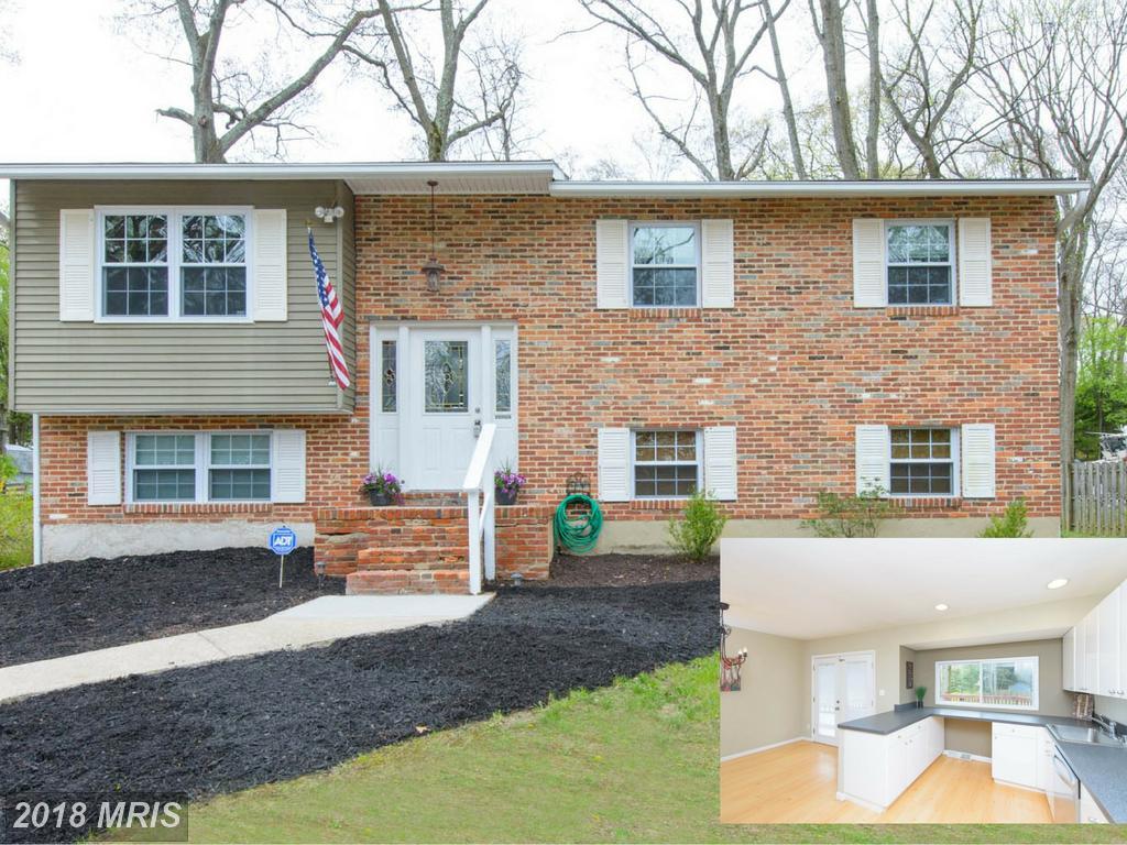 1133 Chinaberry Lane - Photo 1
