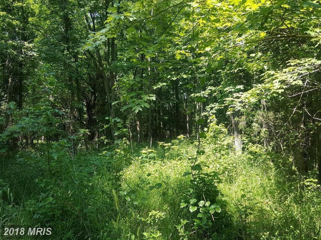 1229 Scott Town Road - Photo 1