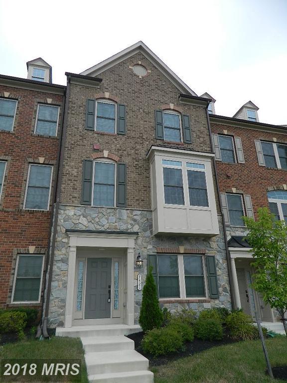 7421 Matapan Drive - Photo 1