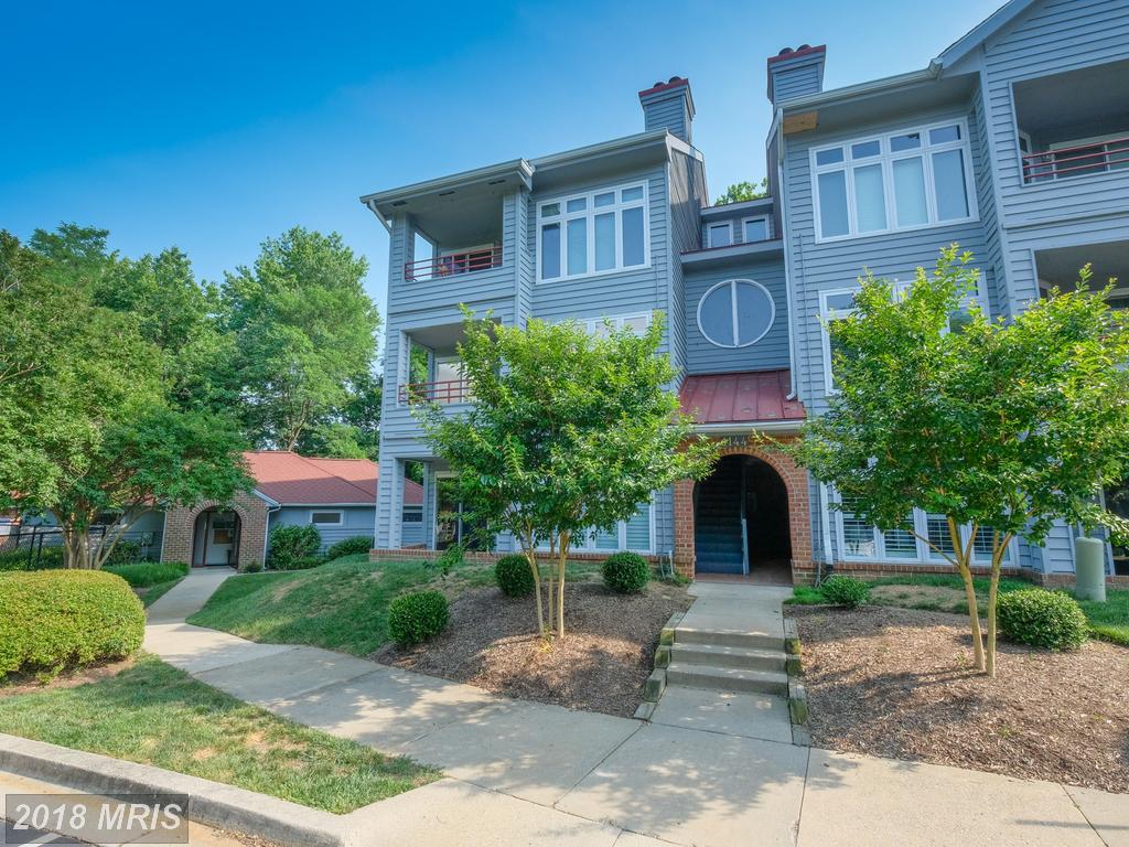 1136 Lake Heron Drive - Photo 1