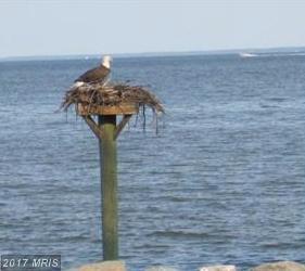 1616 Columbia Beach Road - Photo 1