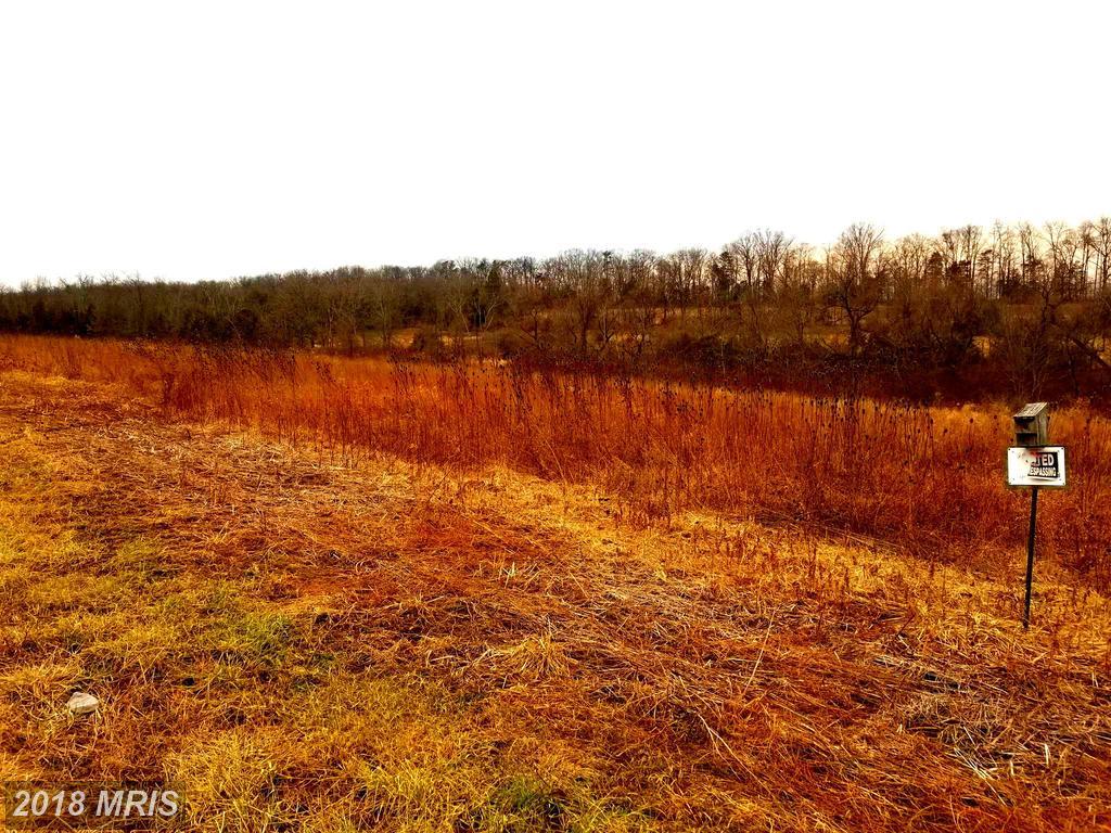Gun Club Road - Photo 1
