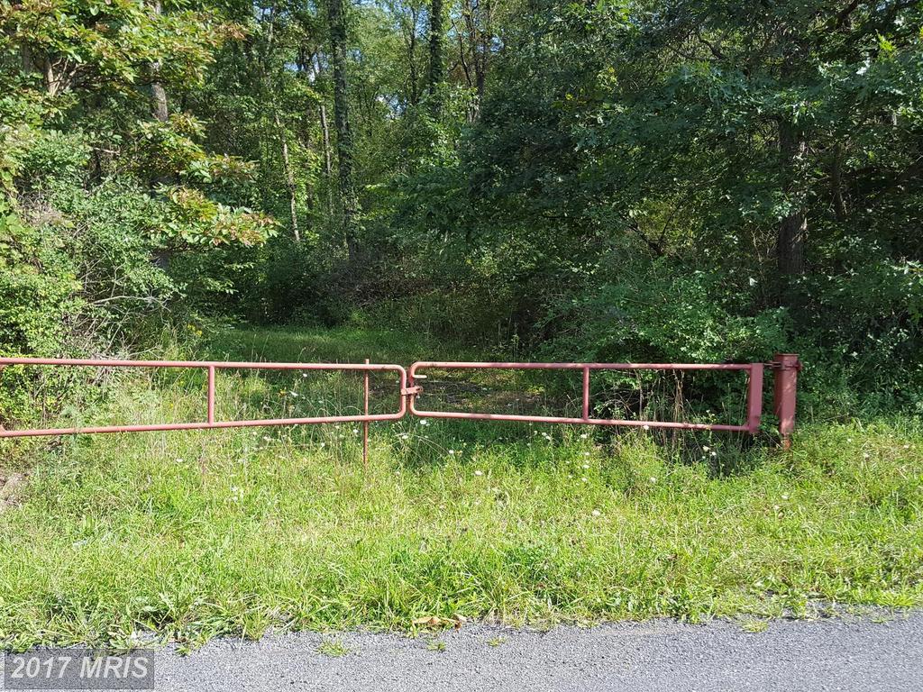 LOT 4 Turkey Farm Road - Photo 1