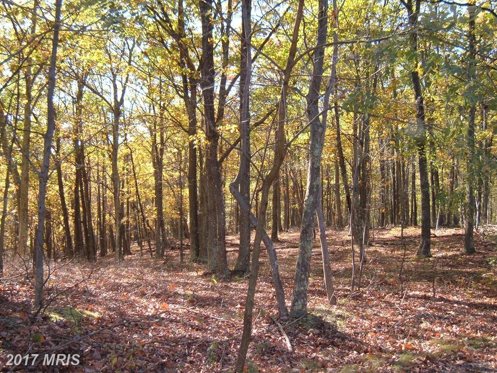 17503 Mcmullen Highway - Photo 1