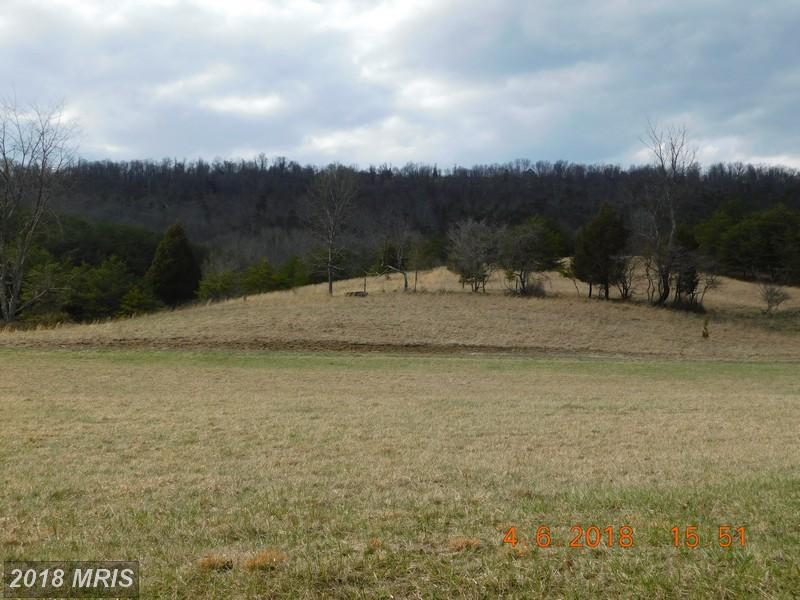 Frog Hollow Road - Photo 1