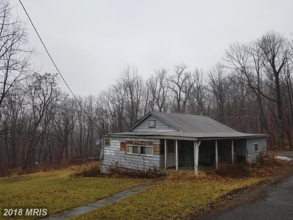 22303 Ripken Lane - Photo 1