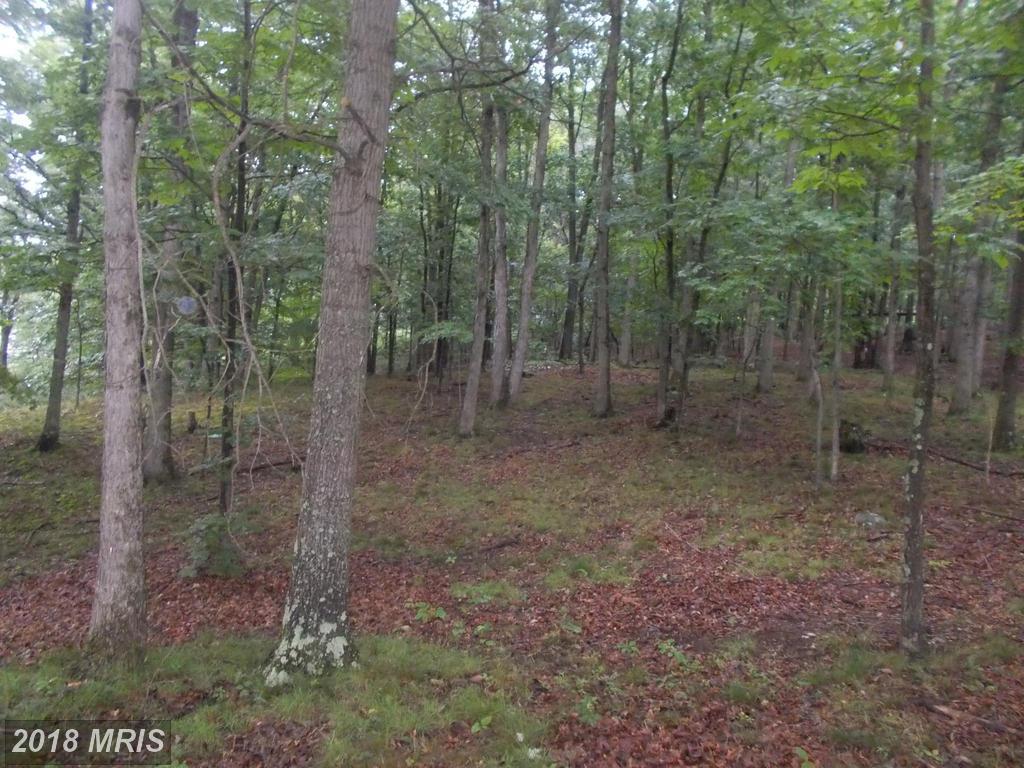 21120 Mcmullen Highway - Photo 1