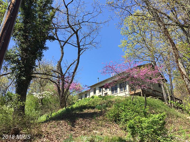 805 Calvert Terrace - Photo 1
