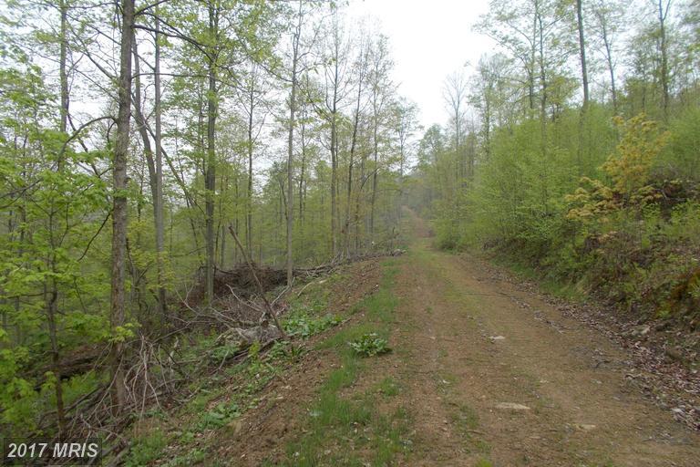 Wellersburg Road - Photo 1