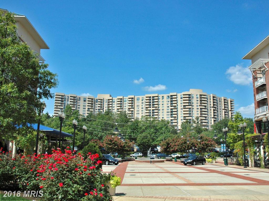 1101 Arlington Ridge Road - Photo 1