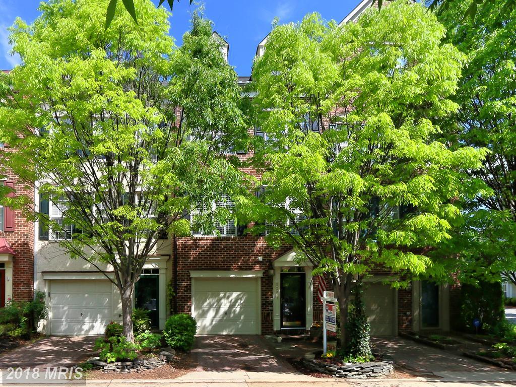 323 Helmuth Lane - Photo 1