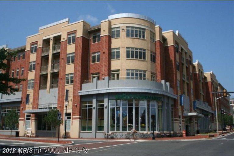 309 Holland Lane - Photo 1