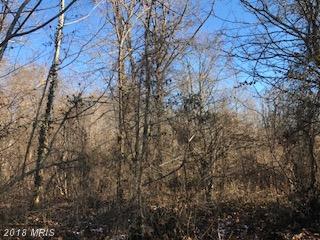 823 Middle Road - Photo 1