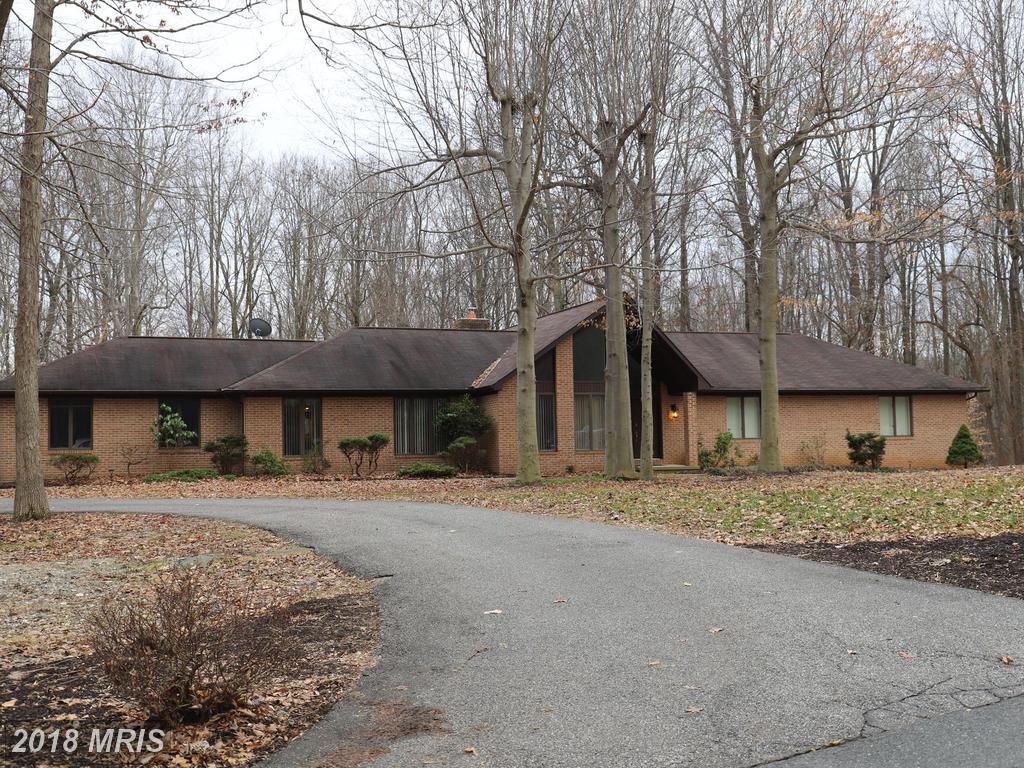 12202 Darney View Road - Photo 1