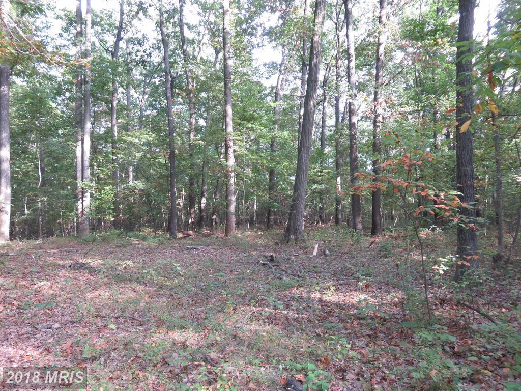 14731 Dover Road - Photo 1