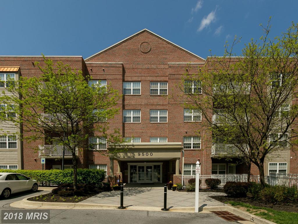 9500 Side Brook Road - Photo 1
