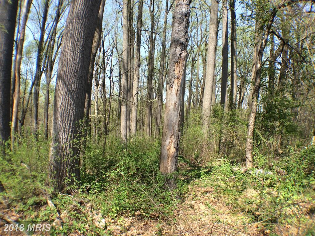 14309-A Carroll Ridge Court - Photo 1