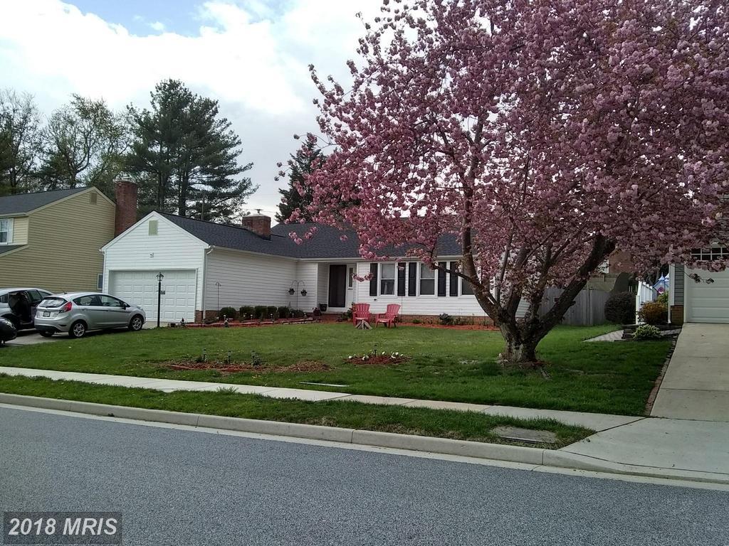 10624 Anglo Hill Road - Photo 1