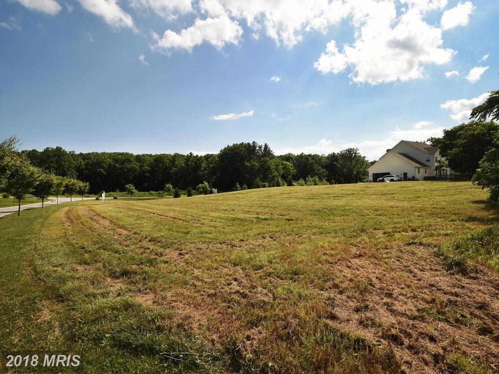 11924 Bluestone Road - Photo 1