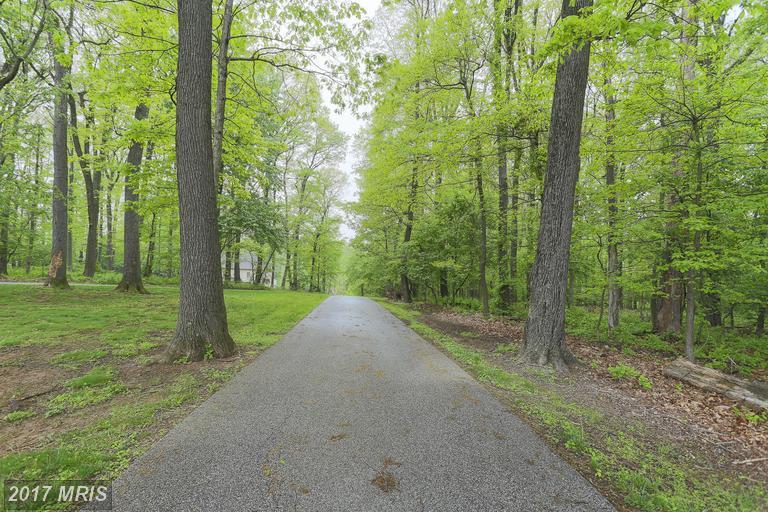 2607 Chestnut Woods Court - Photo 1