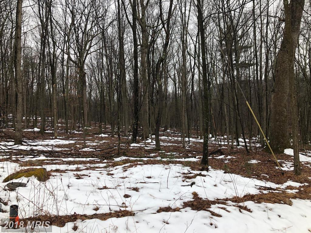 LOT D Jacksonville Road - Photo 1