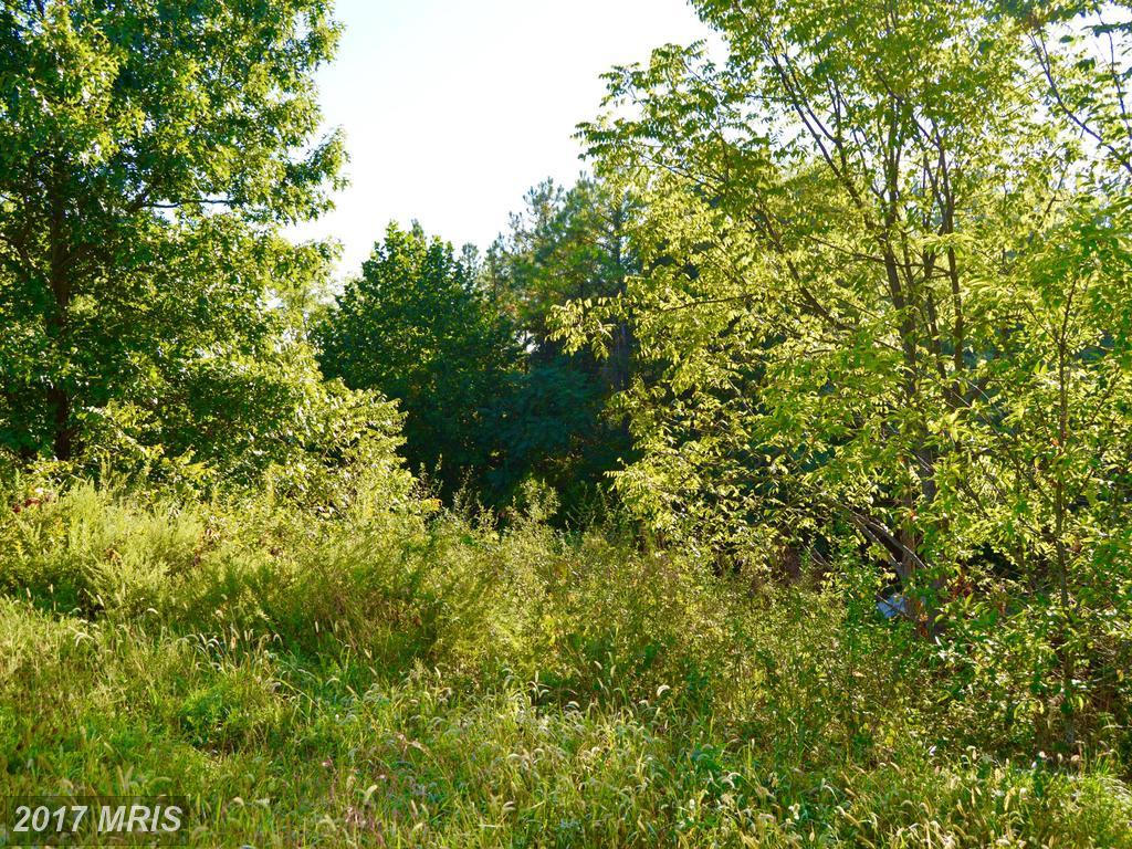 LOT 152 Labonte Drive - Photo 1