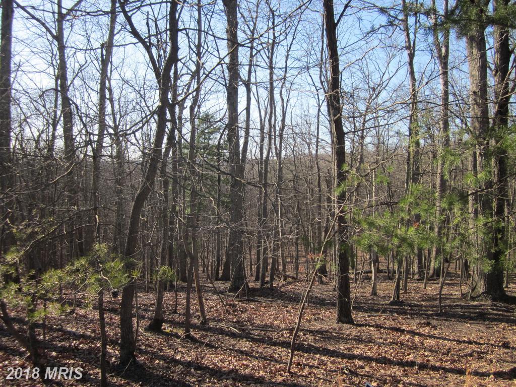 Otter Creek Drive - Photo 1