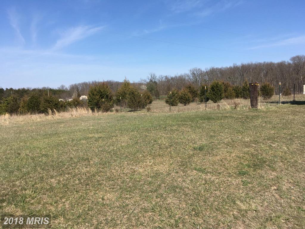 Ponderosa Trail - Photo 1