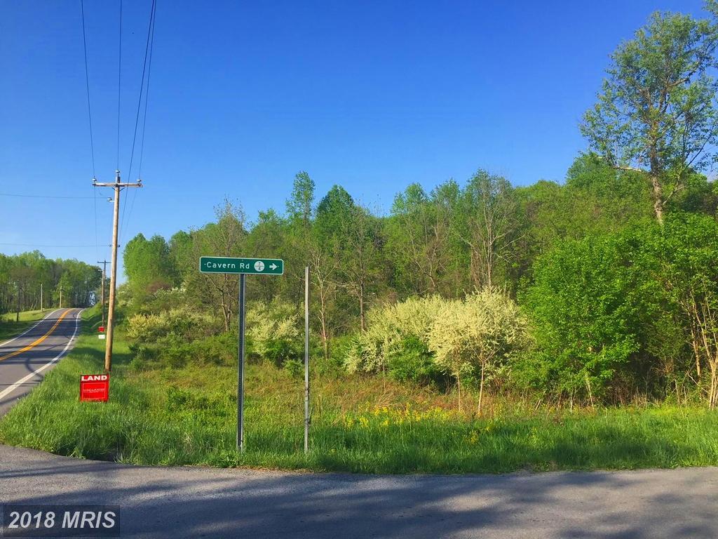 Lot 12 Back Creek Valley Road - Photo 1