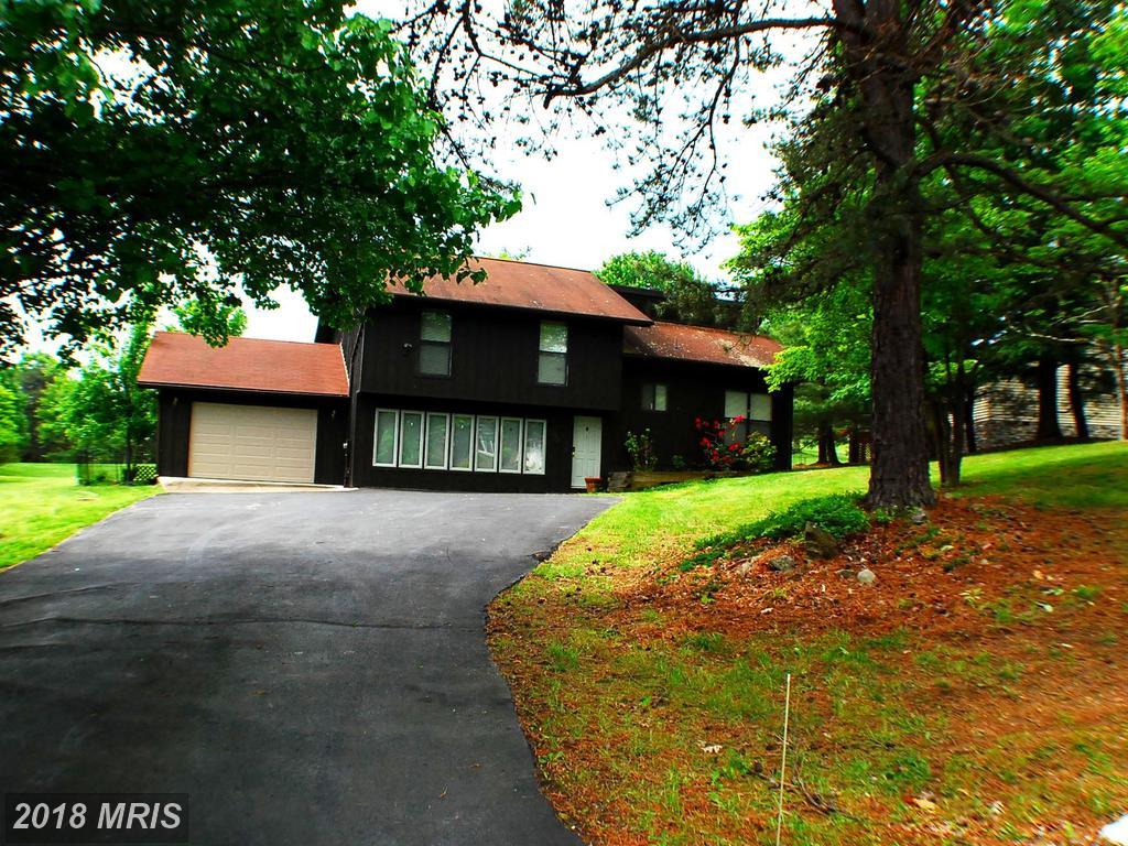 203 The Woods Road - Photo 1