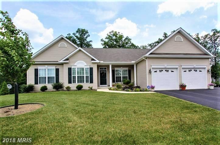 1103 Riparian Drive - Photo 1