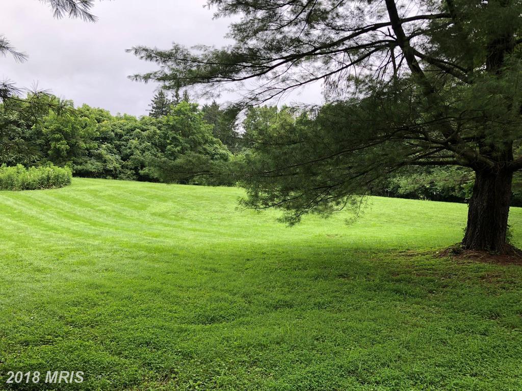 Trammel Drive - Photo 1