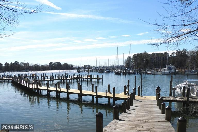 1203 Back Creek Loop - Photo 1